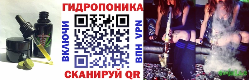 Cannafood конопля  где купить наркотик  Абаза 