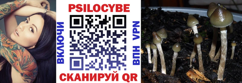 Псилоцибиновые грибы Psilocybine cubensis  где продают   Абаза 